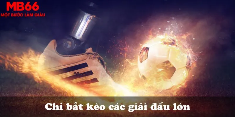 Chỉ bắt kèo các giải đấu lớn